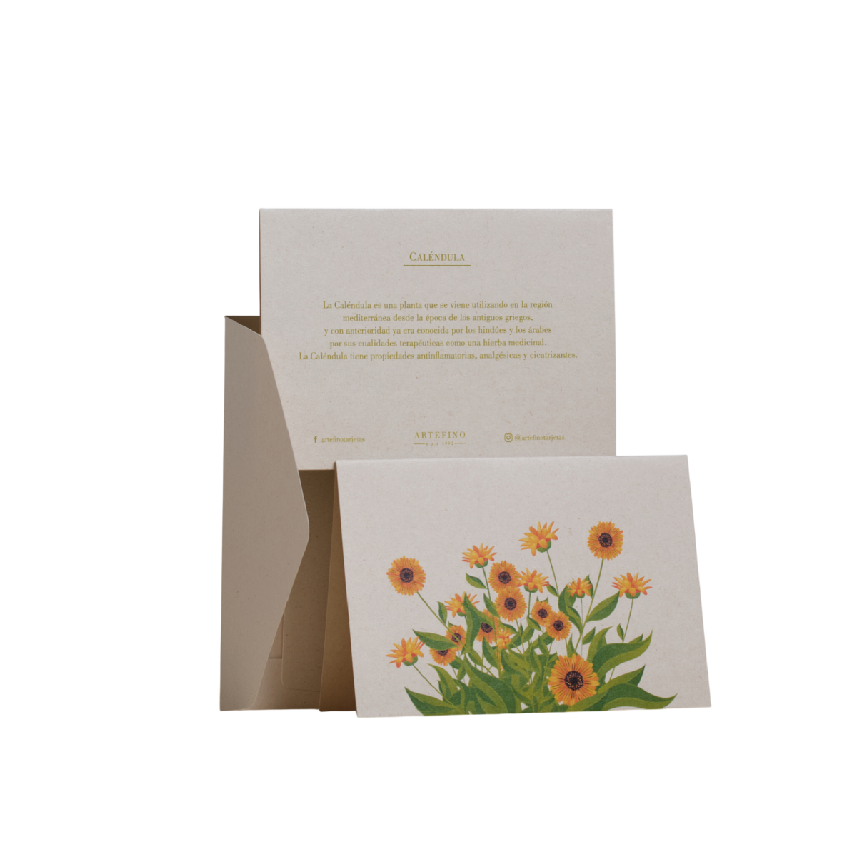 Tarjetas dobles y sobres - Flores medicinales