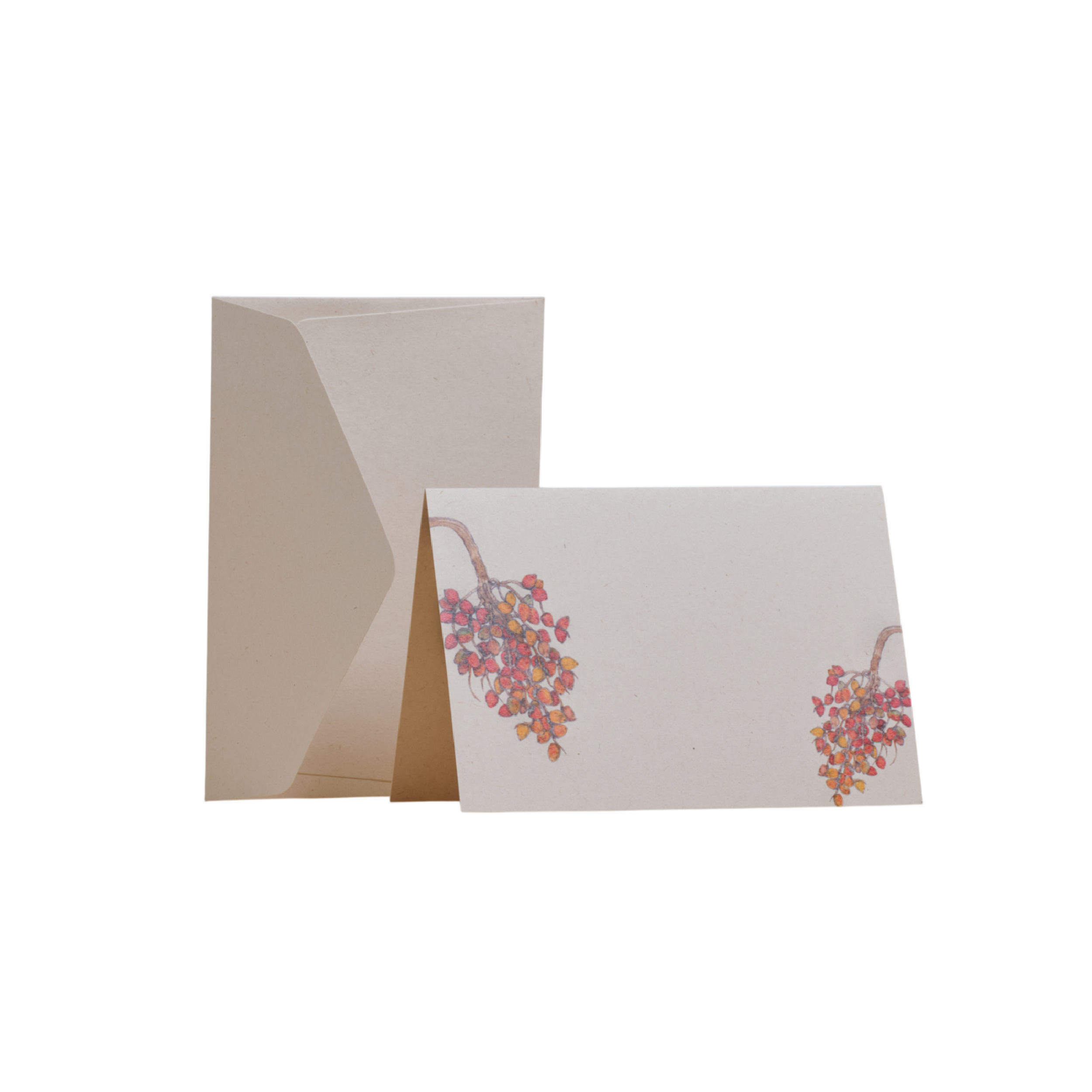 Tarjetas dobles y sobres - Pacífico