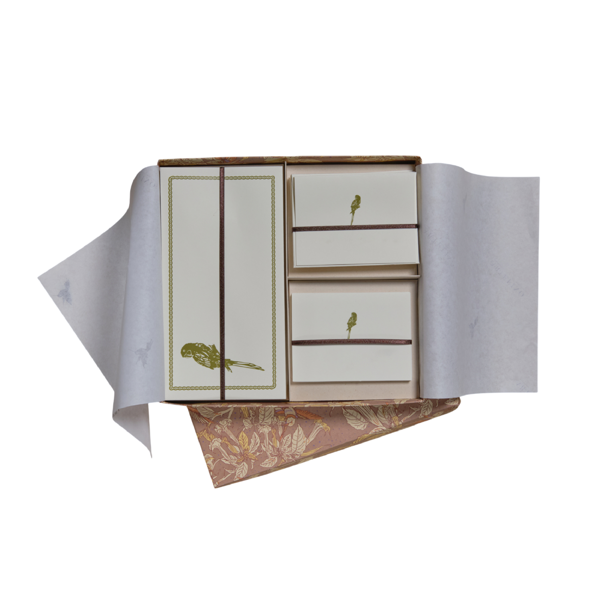 Caja grande de tarjetas y sobres- Loro Verde