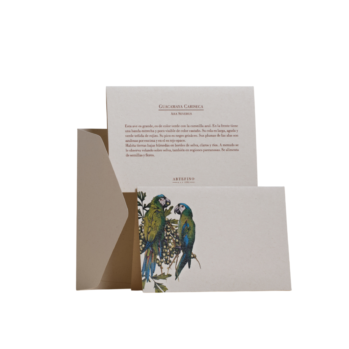 Tarjetas y sobres - Colección Aves de Colombia